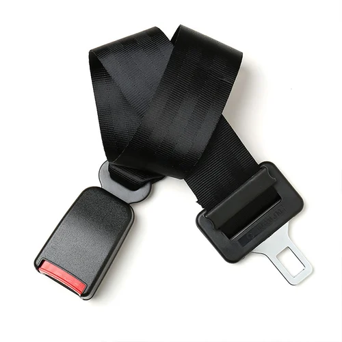 Seat Belts for Buses